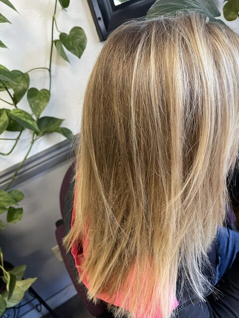 Stylist Elaina performing precision haircut shaping on client.